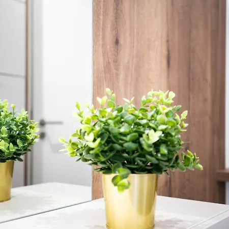 Apartamento Free Parking Rooftop 4ppl